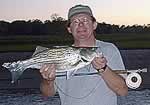 Hybrid Striper