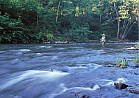 on the river